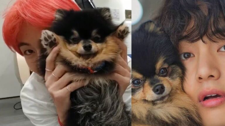 V loves Yeontan and How much close BTS is to Yeontan? – GWU