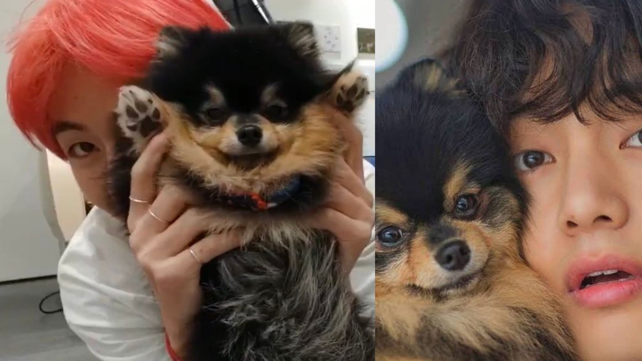 V loves Yeontan and How much close BTS is to Yeontan? - GWU