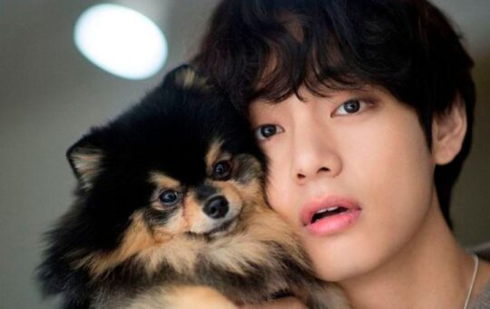 V-loves-Yeontan-and-How-much-close-BTS-is-to-Yeontan