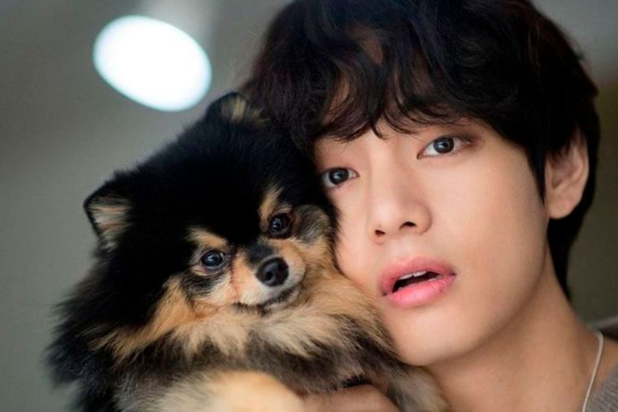 V-loves-Yeontan-and-How-much-close-BTS-is-to-Yeontan